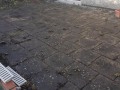 20190122_101953