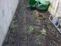 20190122_105551