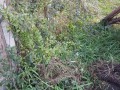 20190122_105558
