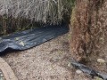20190122_115737