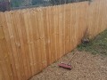 20190131_124434