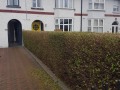 20190131_124719