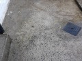 20190206_132748