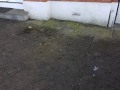 20190206_142825