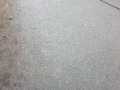 20190207_100959