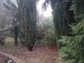 20190121_083828