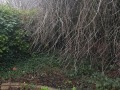 20190121_083842