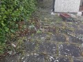 20190122_092721