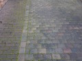 20190227_084329