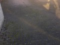 20190227_085100