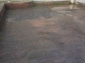 20190227_102037