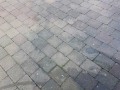 20190227_102724