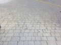 20190228_091449