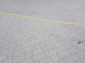 20190228_091455