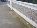 20190228_091515
