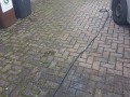 20190302_080334