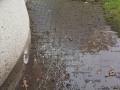 20190302_095756