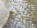 20190302_101651