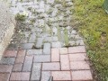 20190302_101655