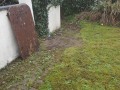 20190302_101707