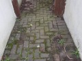 20190302_101714