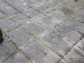 20190302_110322