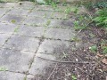 20190302_110324