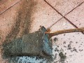 20190302_120012