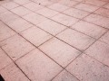 20190302_121532