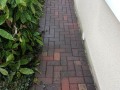 20190302_121611