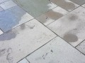 20190309_131335
