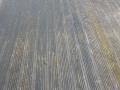 20190323_093151