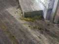 20190323_093154
