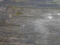 20190323_093201